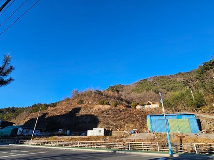 산청군 신안면 하정리 과수원 경매 물건 사진