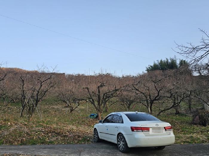 하동군 악양면 신성리 답 경매 물건 사진
