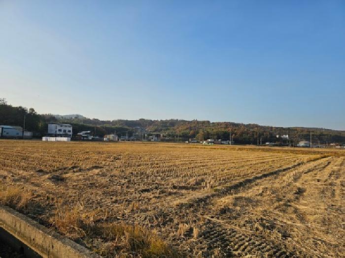 하동군 금성면 고포리 단독주택 경매 물건 사진