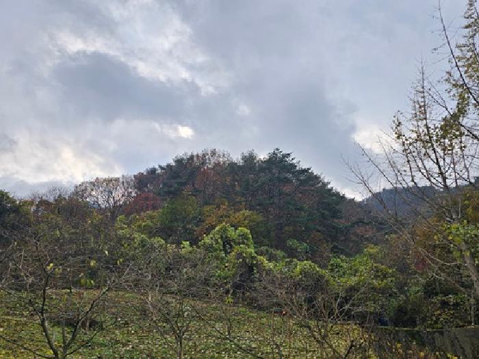 진주시 일반성면 남산리 임야 경매 물건 사진