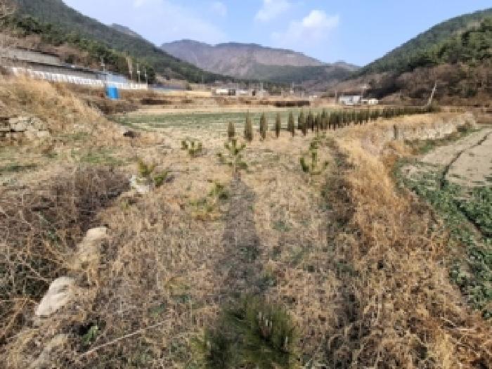 남해군 서면 서상리 답 경매 물건 사진