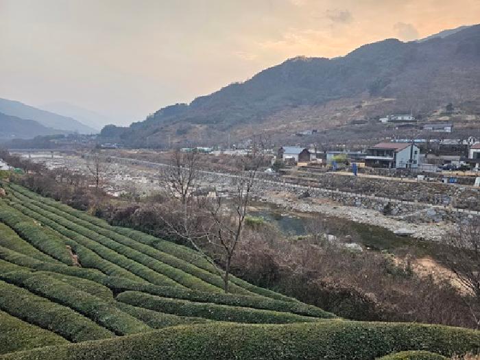 하동군 화개면 정금리 답 경매 물건 사진