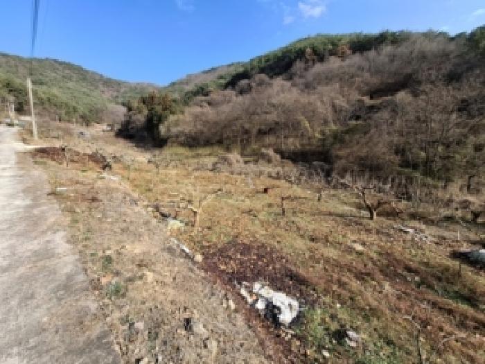 사천시 정동면 대곡리 전 경매 물건 사진
