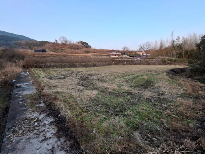남해군 설천면 진목리 답 경매 물건 사진