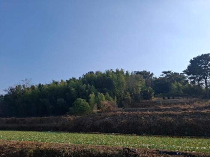 남해군 이동면 초음리 전 경매 물건 사진