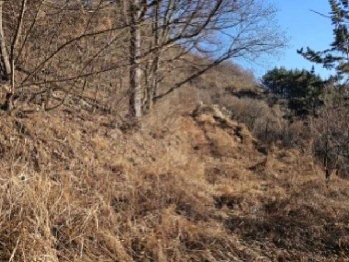 산청군 시천면 내공리 전답 경매 물건 사진