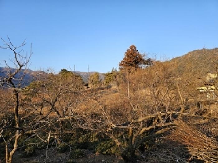 하동군 악양면 신흥리 임야 경매 물건 사진