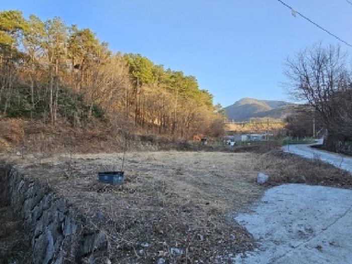 산청군 금서면 신아리 답 경매 물건 사진