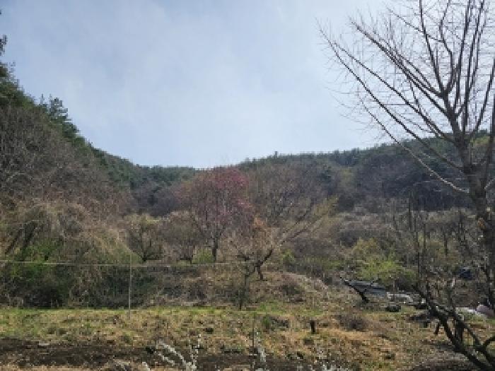 진주시 명석면 신기리 전 경매 물건 사진