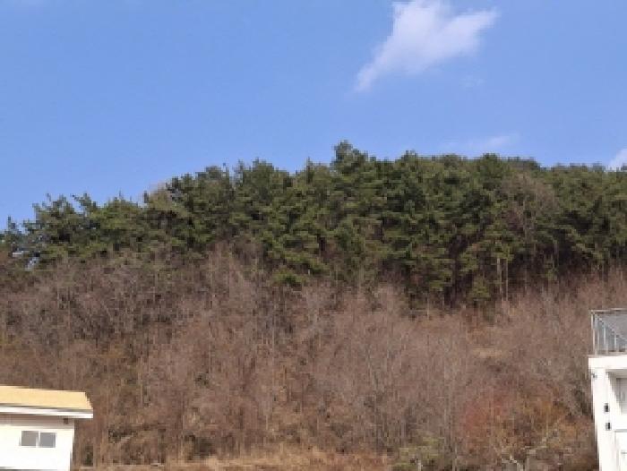 사천시 백천동 산68-13 임야 경매 물건 사진