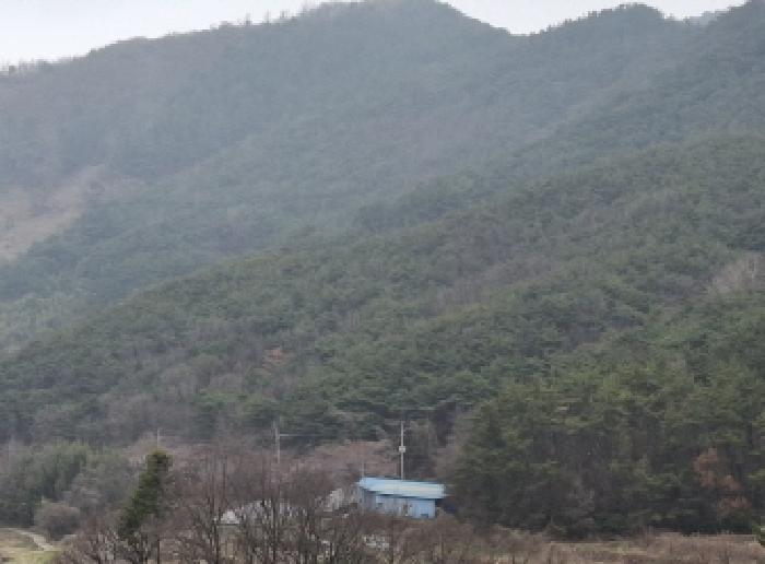 남해군 서면 정포리 임야 경매 물건 사진