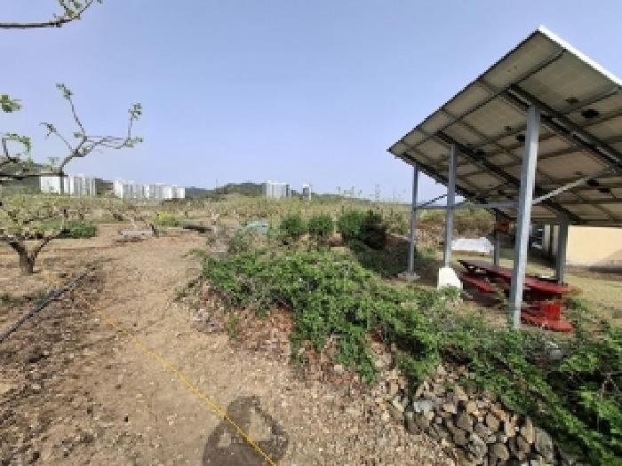 사천시 정동면 고읍리 답 경매 물건 사진