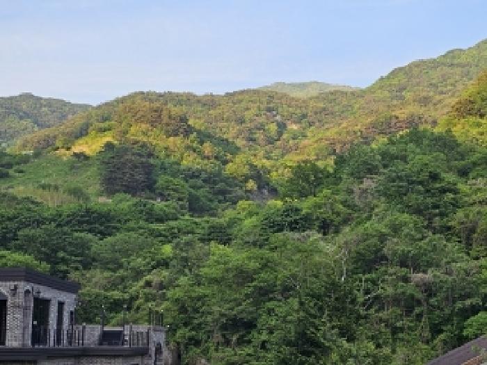 하동군 화개면 부춘리 답 경매 물건 사진