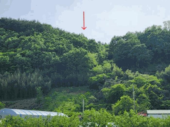 하동군 하동읍 신기리 임야 경매 물건 사진