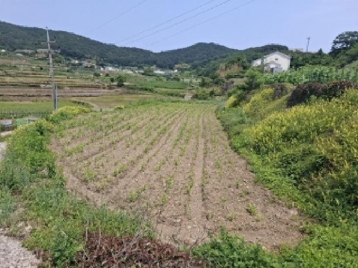 남해군 삼동면 동천리 전 경매 물건 사진