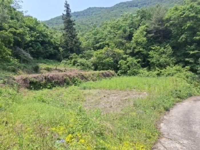 남해군 삼동면 봉화리 답 경매 물건 사진