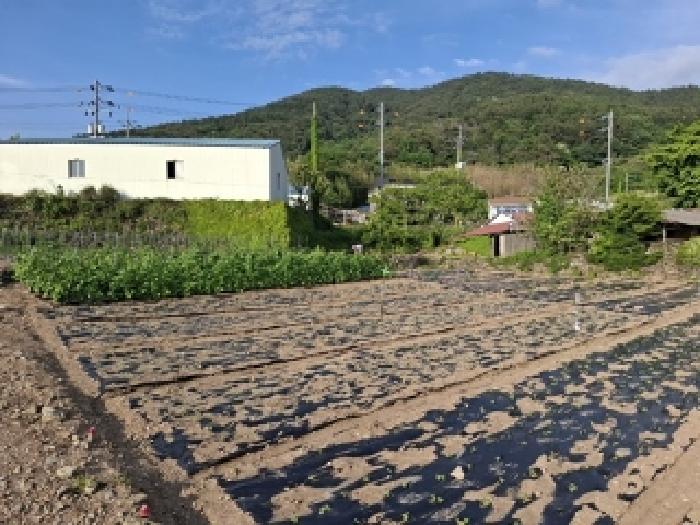 남해군 남면 상가리 답 경매 물건 사진