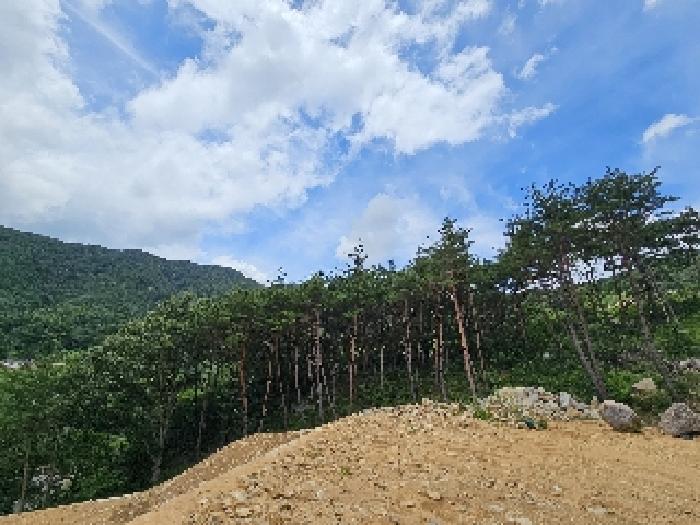 산청군 신안면 외송리 임야 경매 물건 사진