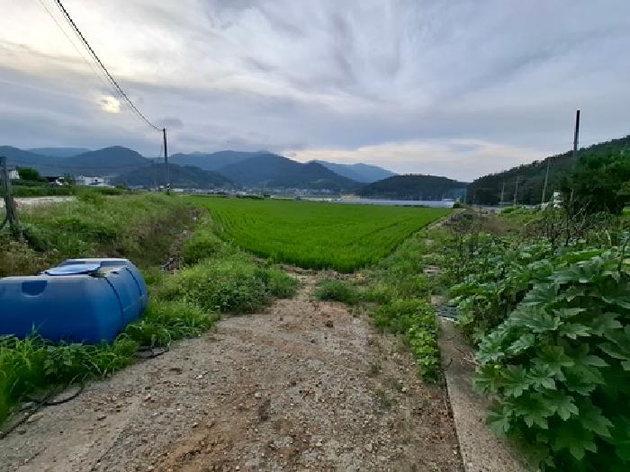 남해군 남해읍 평리 답 경매 물건 사진
