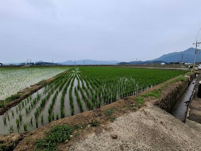 남해군 이동면 초음리 전답 경매 물건 사진
