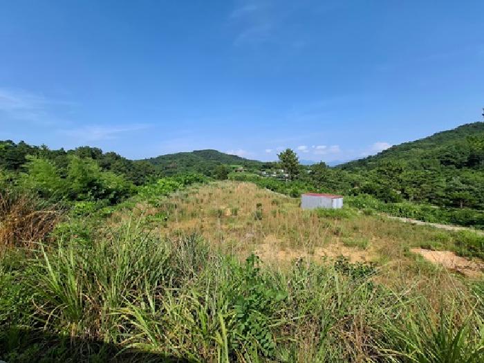 사천시 서포면 외구리 임야 경매 물건 사진