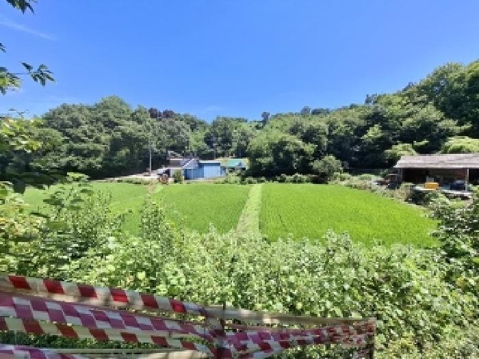 사천시 곤양면 대진리 답 경매 물건 사진