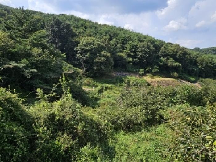 진주시 내동면 독산리 답 경매 물건 사진