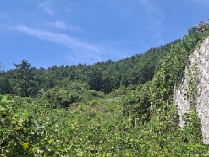 남해군 창선면 대벽리 임야 경매 물건 사진