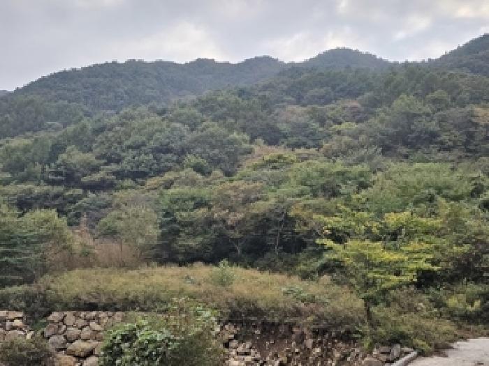 하동군 화개면 부춘리 전 경매 물건 사진