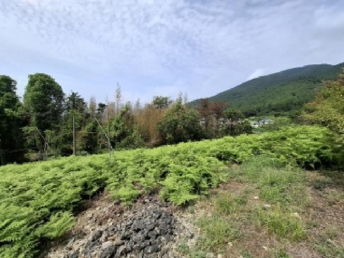 남해군 창선면 지족리 임야 경매 물건 사진