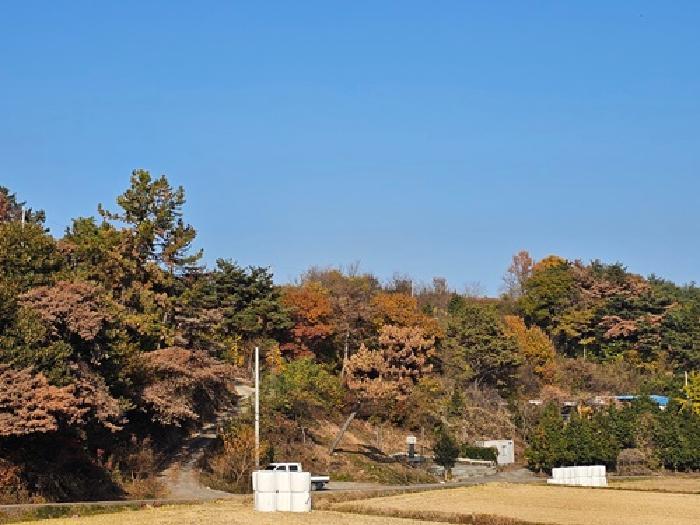 하동군 진교면 양포리 임야 경매 물건 사진