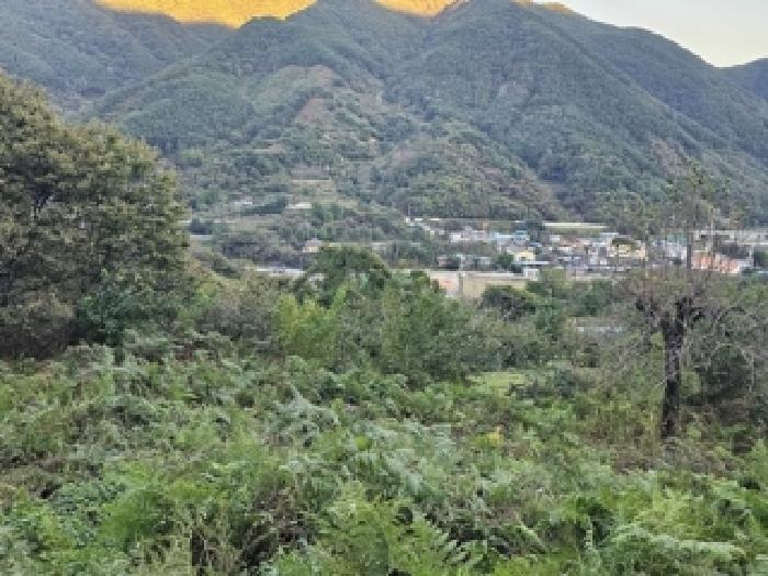 산청군 삼장면 대포리 전 경매 물건 사진