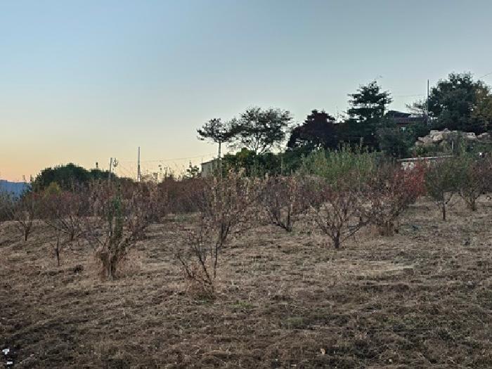 하동군 악양면 정서리 공장/지식산업센터 경매 물건 사진