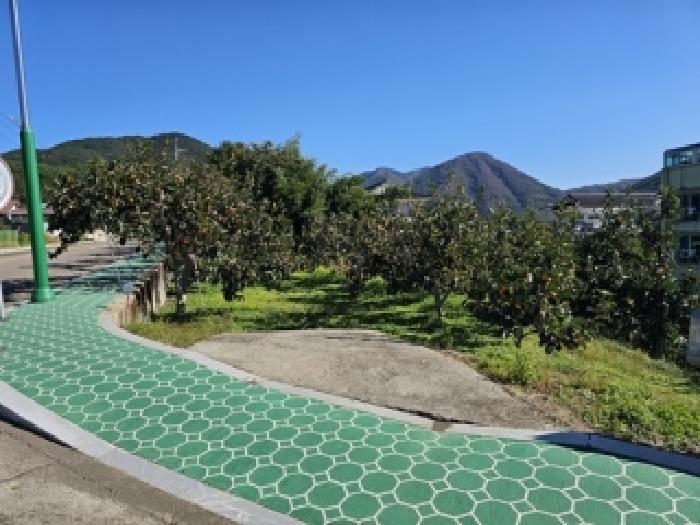 산청군 시천면 사리 답 경매 물건 사진