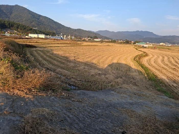 사천시 봉남동 167 답 경매 물건 사진