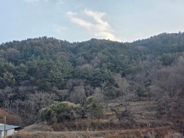 남해군 이동면 다정리 임야 경매 물건 사진