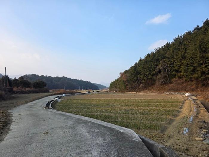 남해군 남해읍 입현리 답 경매 물건 사진
