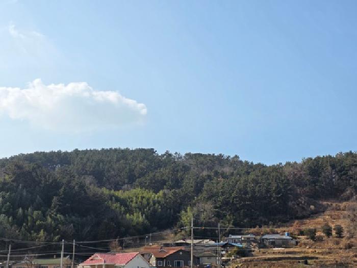 남해군 고현면 갈화리 임야 경매 물건 사진