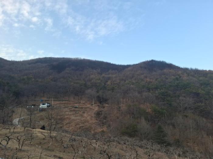 하동군 옥종면 두양리 임야 경매 물건 사진
