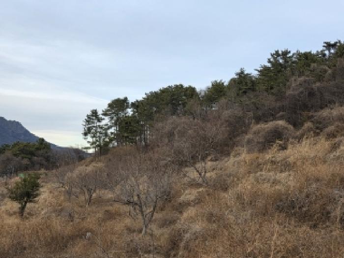 남해군 이동면 신전리 답 경매 물건 사진