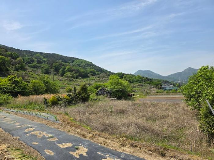 남해군 설천면 문의리 대지,임야,전답 경매 물건 사진