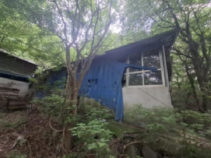 산청군 차황면 상법리 동물및식물관련시설 경매 물건 사진