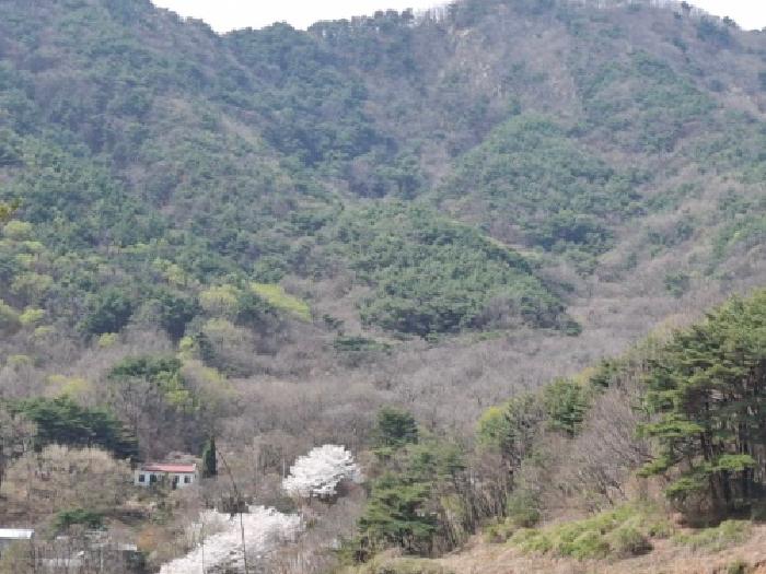 산청군 신안면 외송리 임야 경매 물건 사진