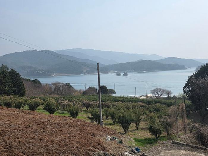 남해군 창선면 지족리 대지,임야,전답 경매 물건 사진