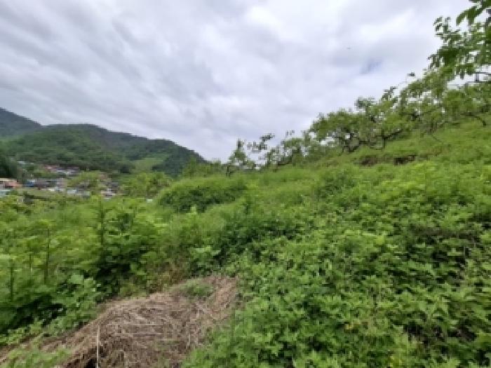 진주시 문산읍 이곡리 대지,임야,전답 경매 물건 사진