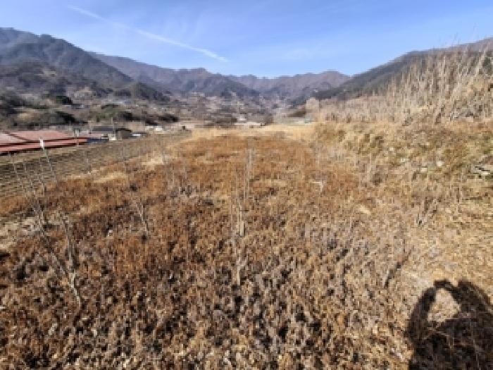하동군 악양면 중대리 대지,임야,전답 경매 물건 사진