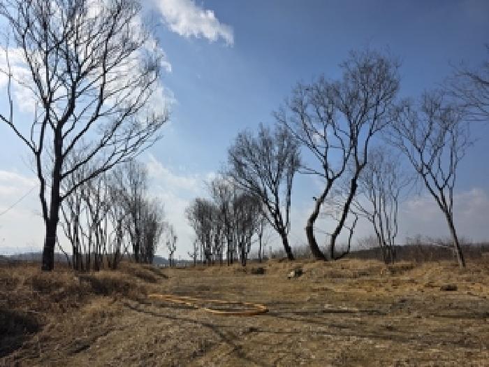 사천시 축동면 배춘리 전답 경매 물건 사진