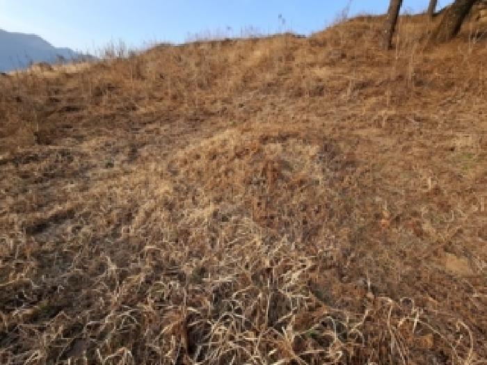 하동군 악양면 중대리 대지 경매 물건 사진