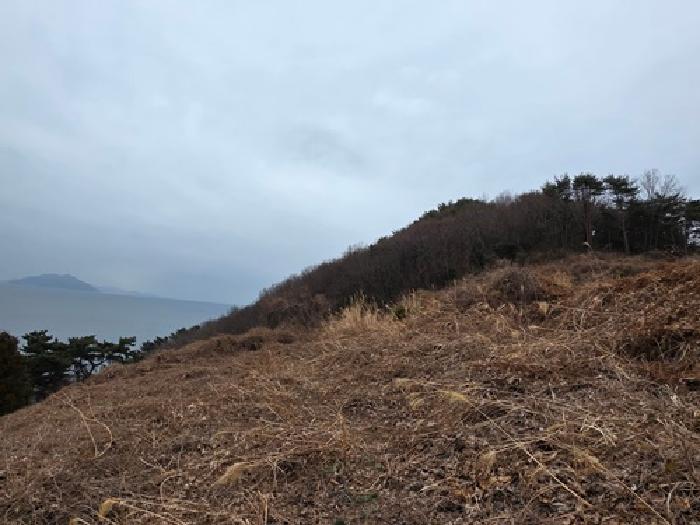 남해군 삼동면 물건리 임야 경매 물건 사진