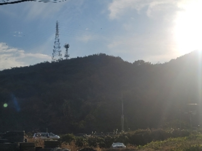 통영시 광도면 황리 과수원 경매 물건 사진